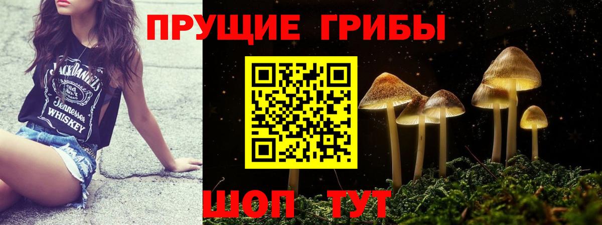 Псилоцибиновые грибы Psilocybe  Псилоцибиновые грибы Cubensis  Вход с VPN  Верхняя Салда 